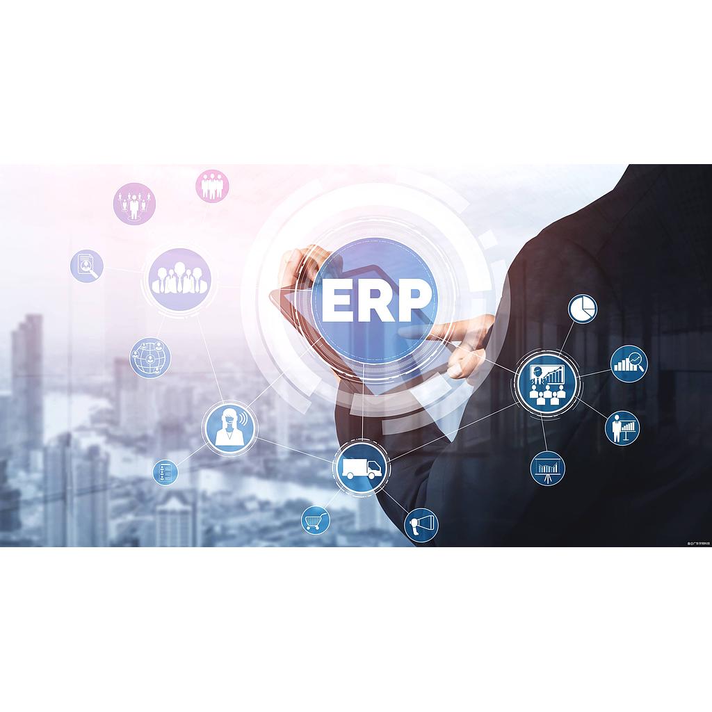 ERP(小企业商贸基础版V6)